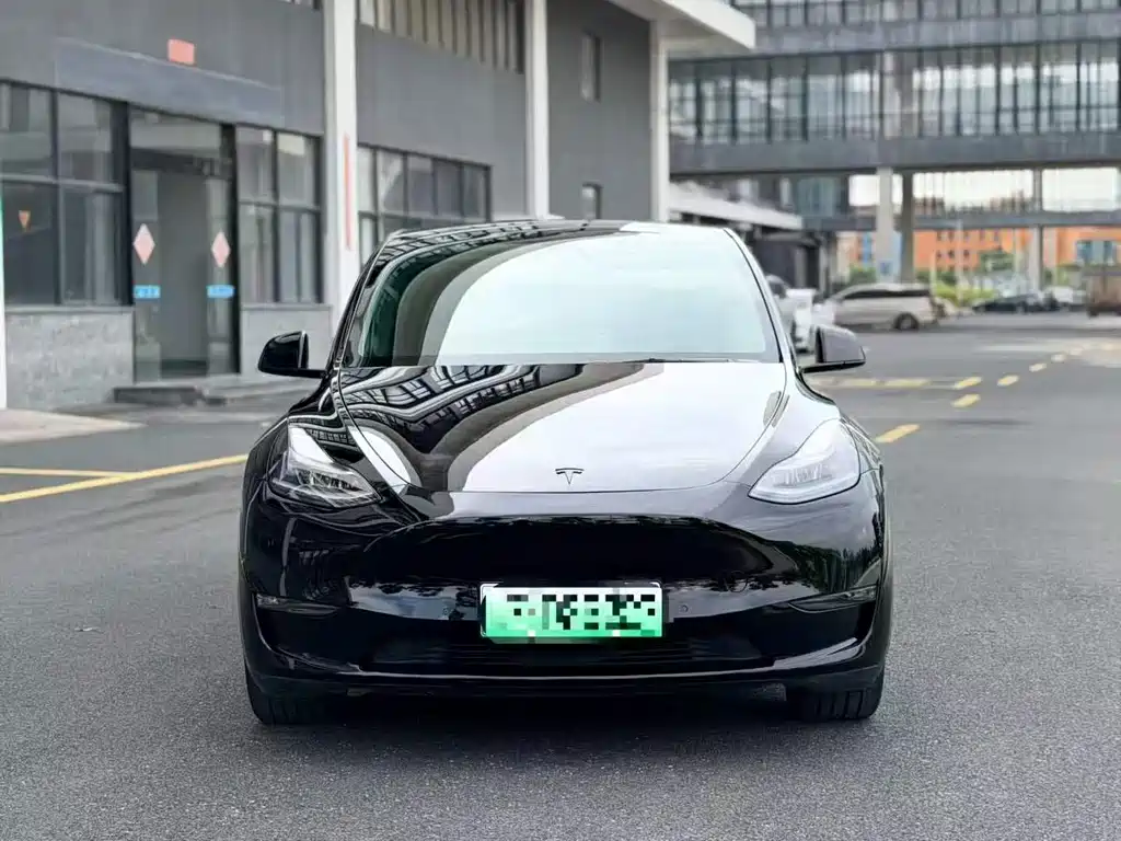 Tesla Model Y — миниатюра 2