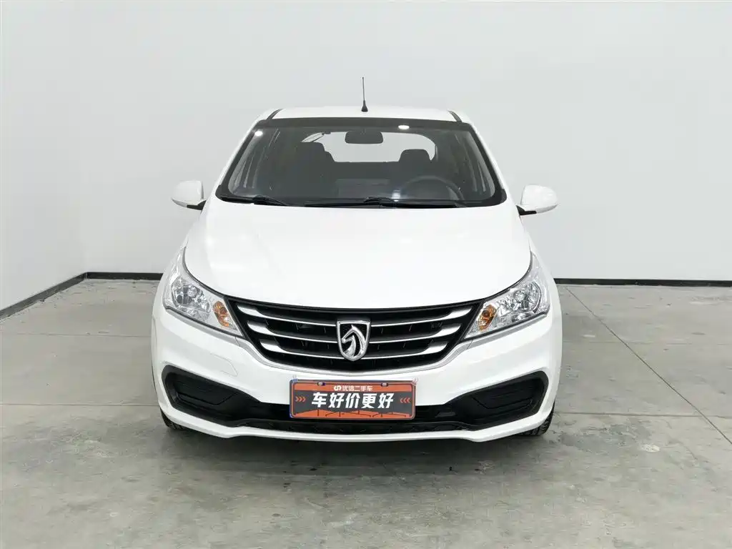 BAOJUN 310