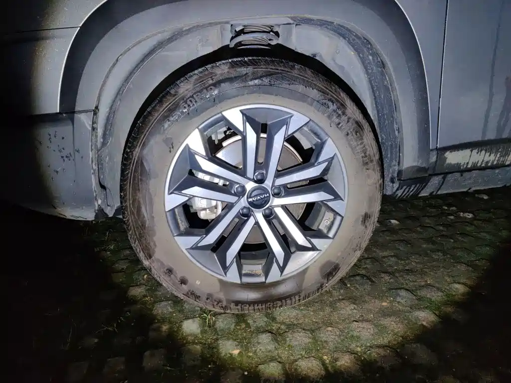 Haval Big Dog — миниатюра 26