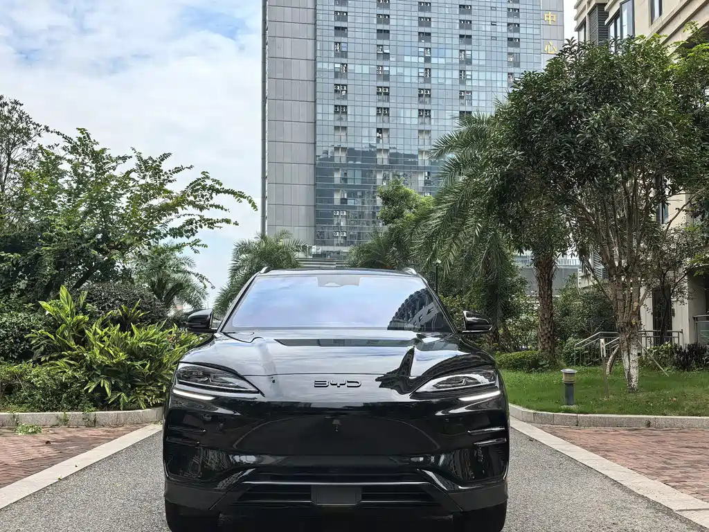 BYD PLUS New Energy — миниатюра 2