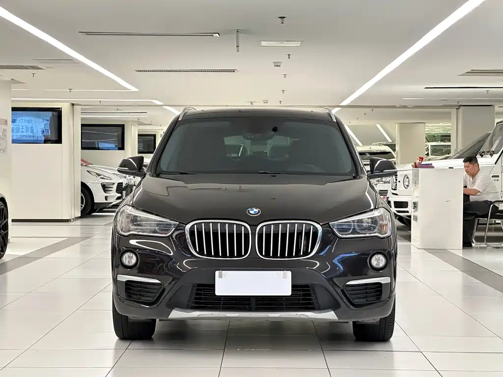 BMW X1 — миниатюра 2