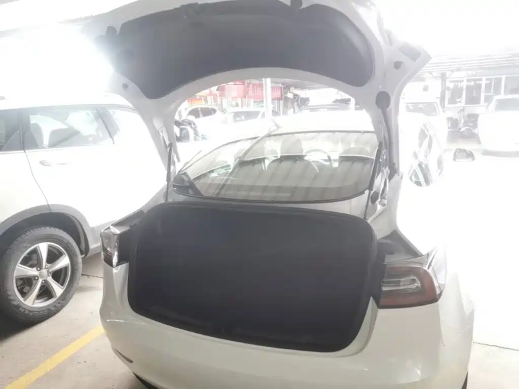 Tesla Model 3 — миниатюра 19