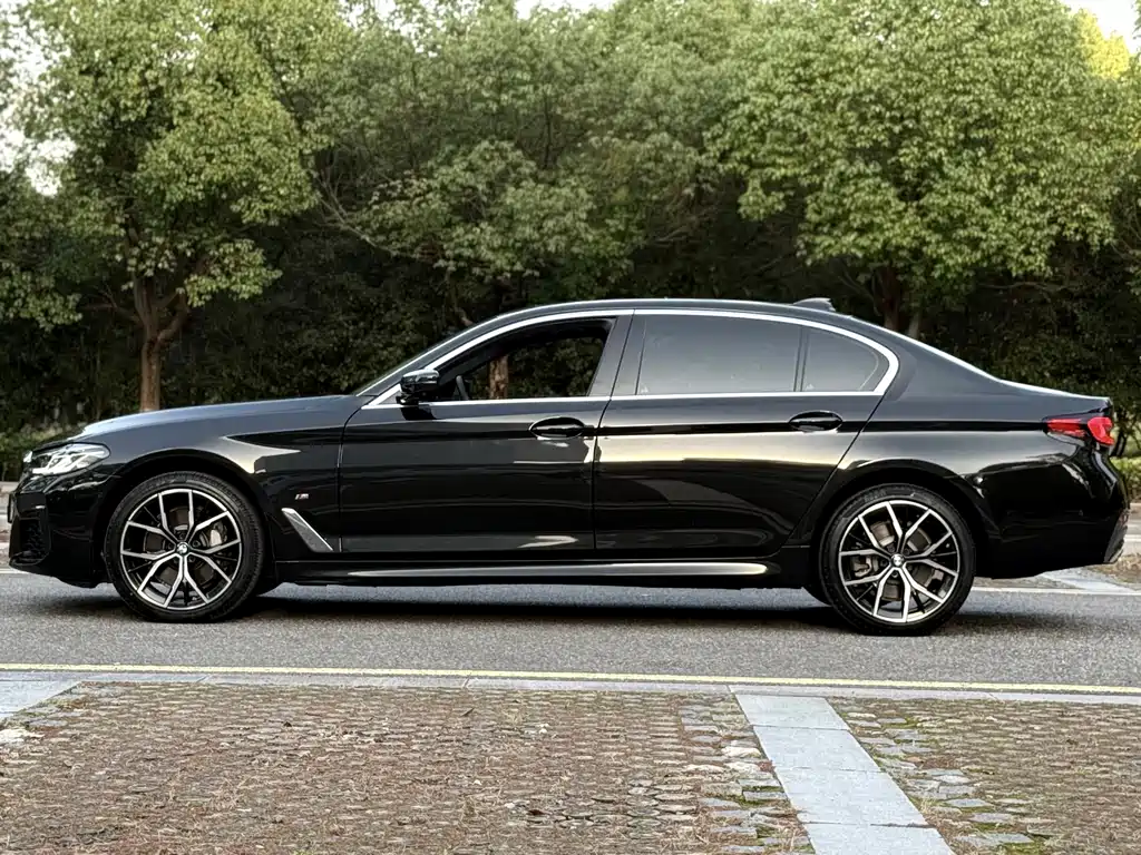 BMW 5 Series — миниатюра 3