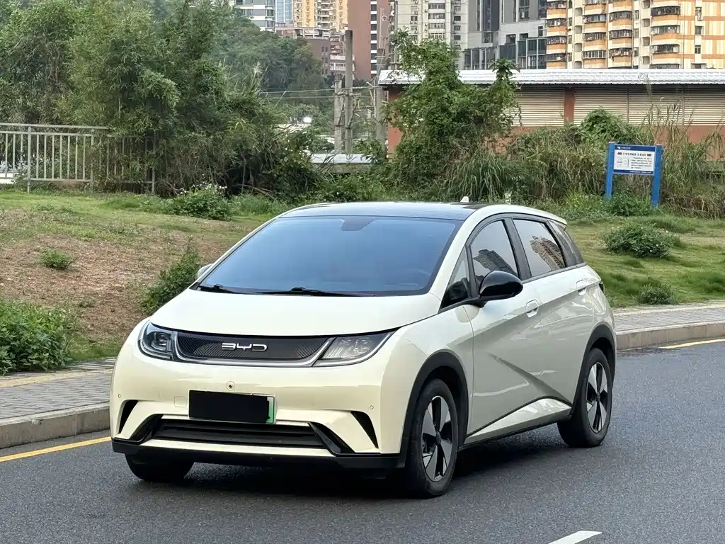 Byd Dolphin 2023