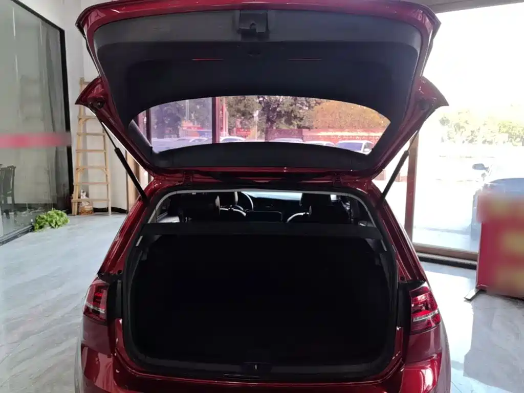 Volkswagen Golf — миниатюра 19