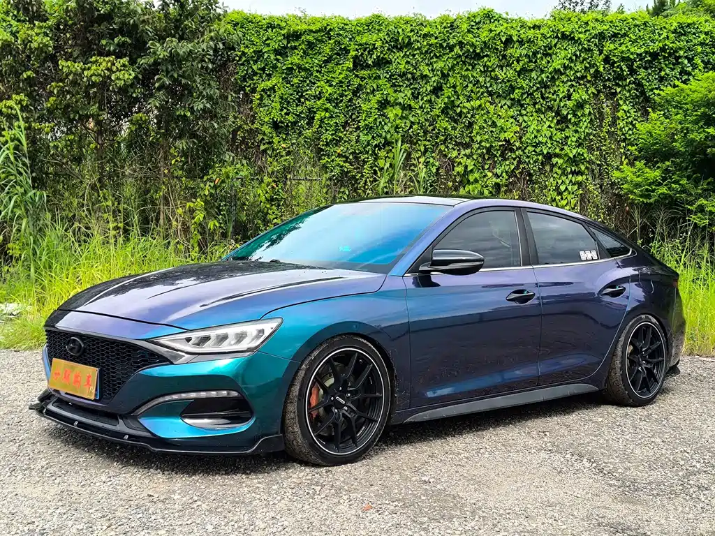 Hyundai Fista — миниатюра 2