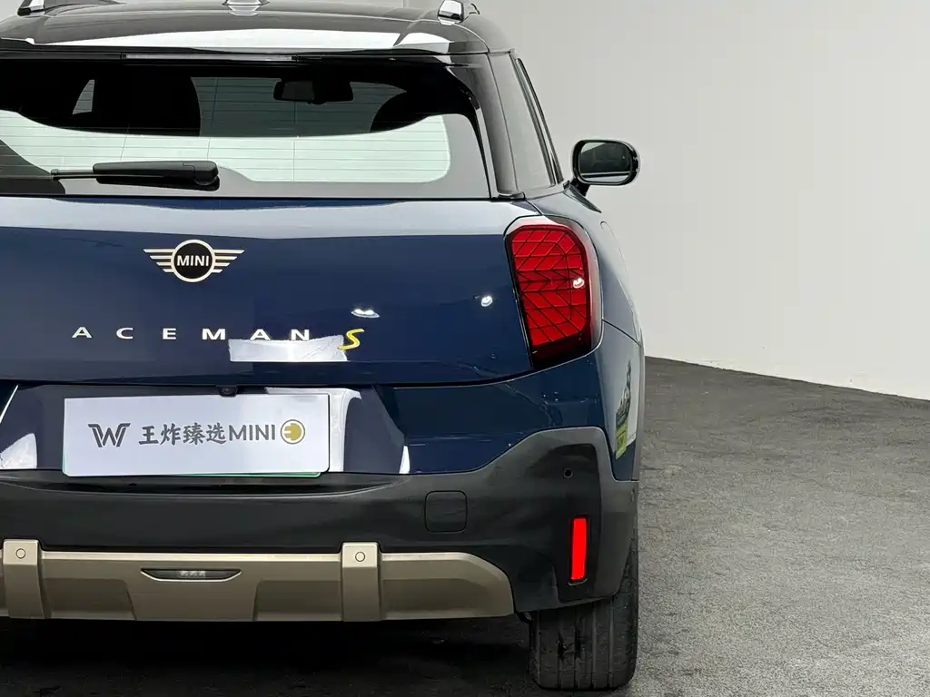 MINI MINI ACEMAN EV — миниатюра 19
