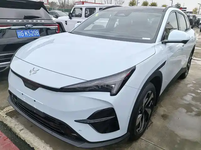 ARCFOX EXTREME FOX POLAR FOX ALPHA T5 2025