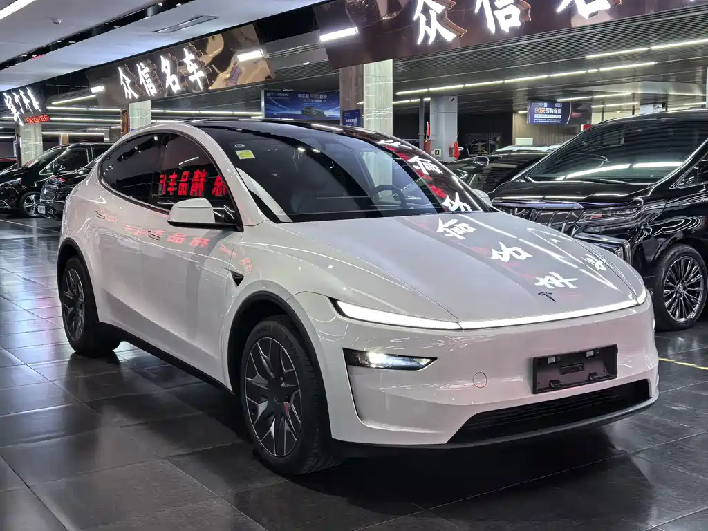 Tesla Model Y L — миниатюра 3