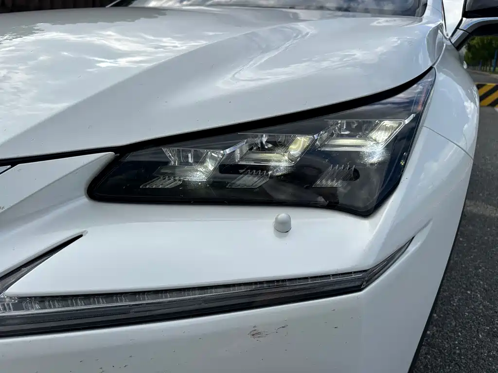Lexus NX — миниатюра 10