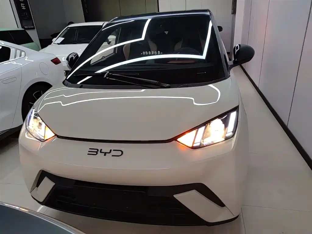 BYD Seagull 2024 305km