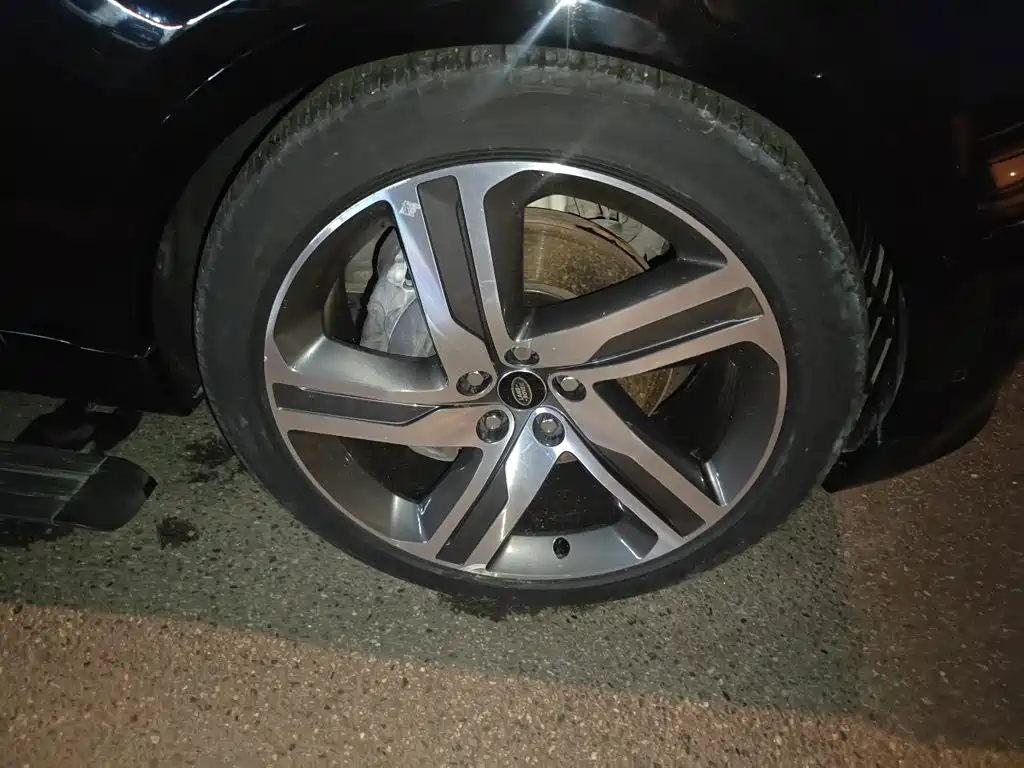 Land Rover Discovery — миниатюра 24