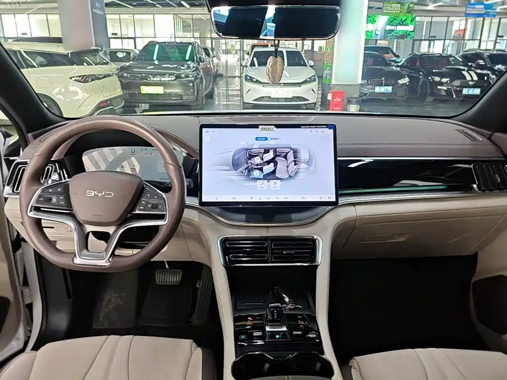 BYD PLUS New Energy — миниатюра 10