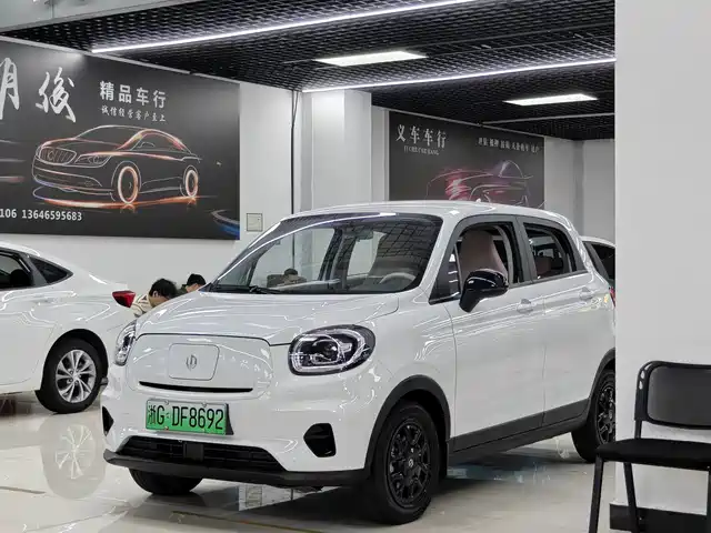 2025 Leapmotor T03