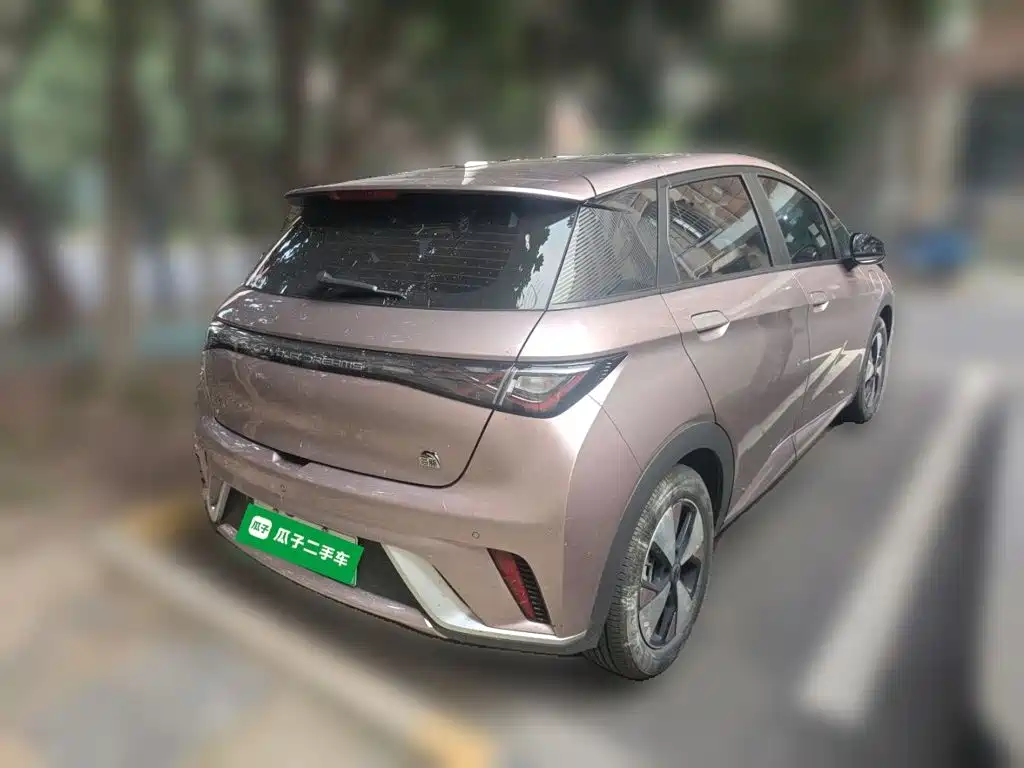 BYD Dolphin — миниатюра 5
