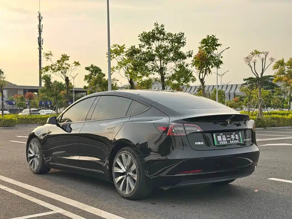 Tesla Model 3 — миниатюра 7
