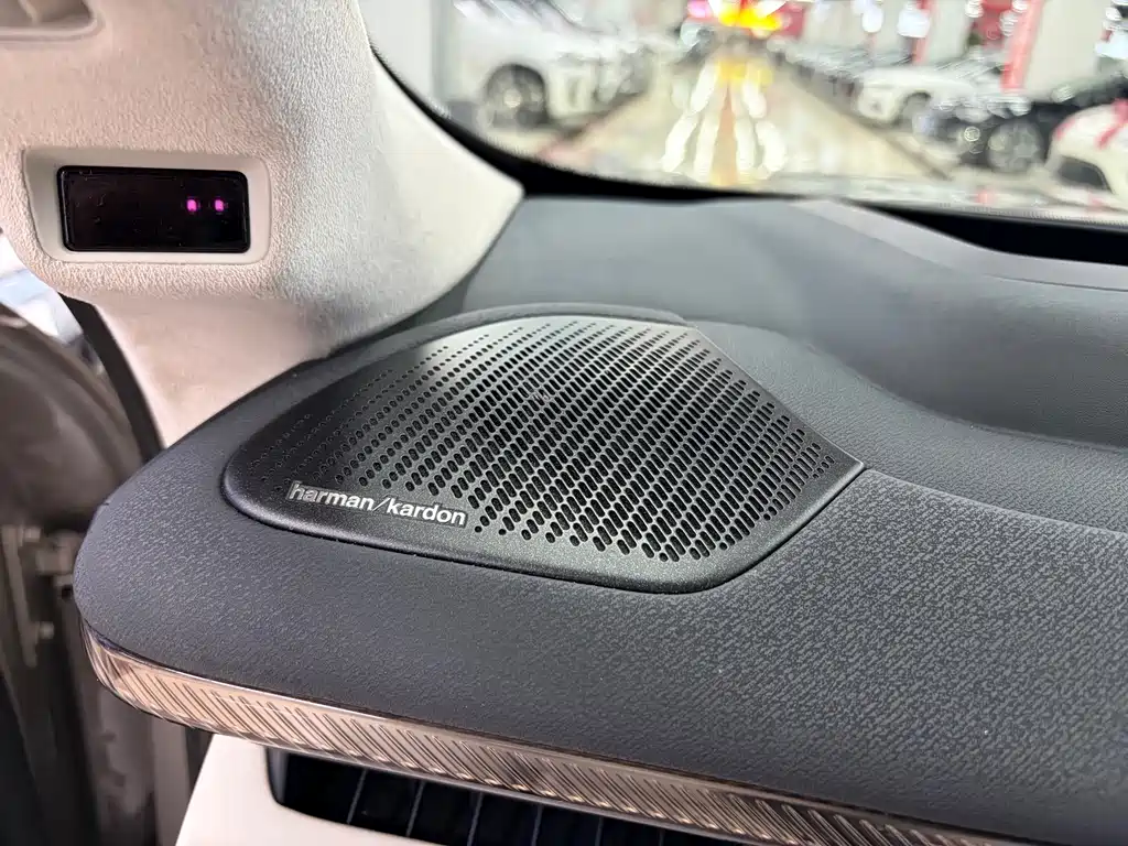 Lynk & Co Рука 900. — миниатюра 17