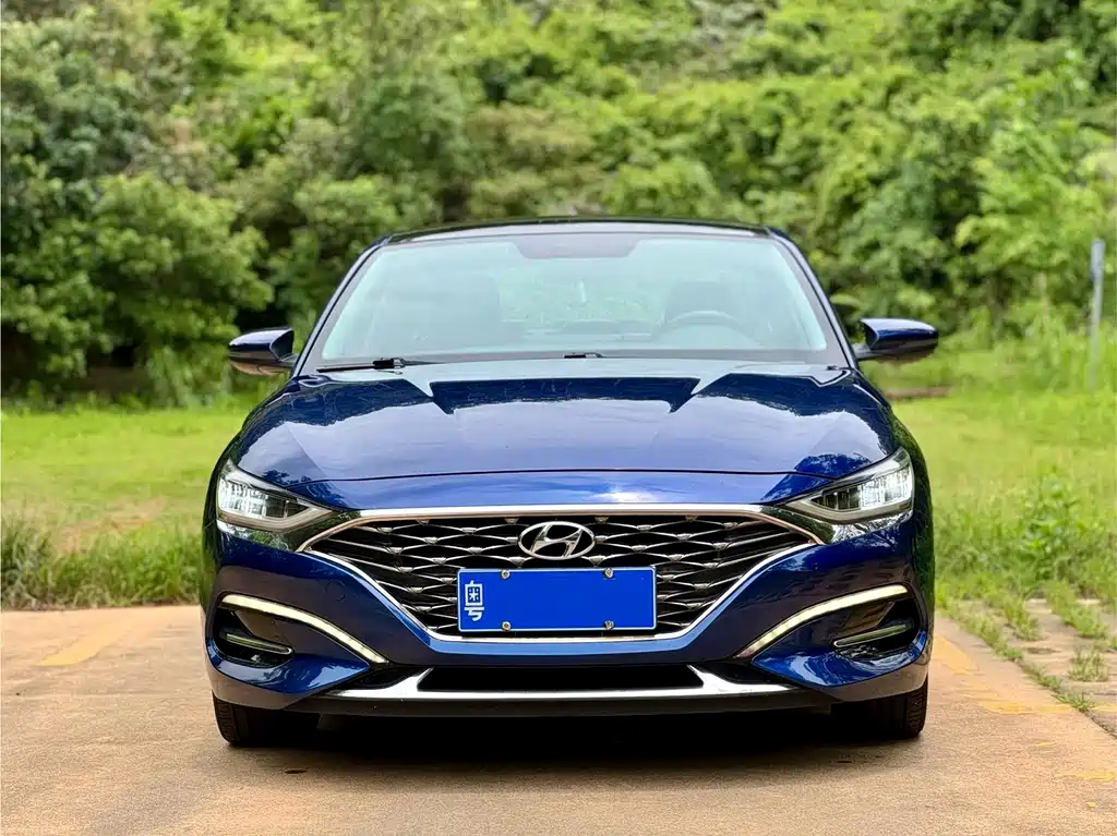 Hyundai Fista — миниатюра 2