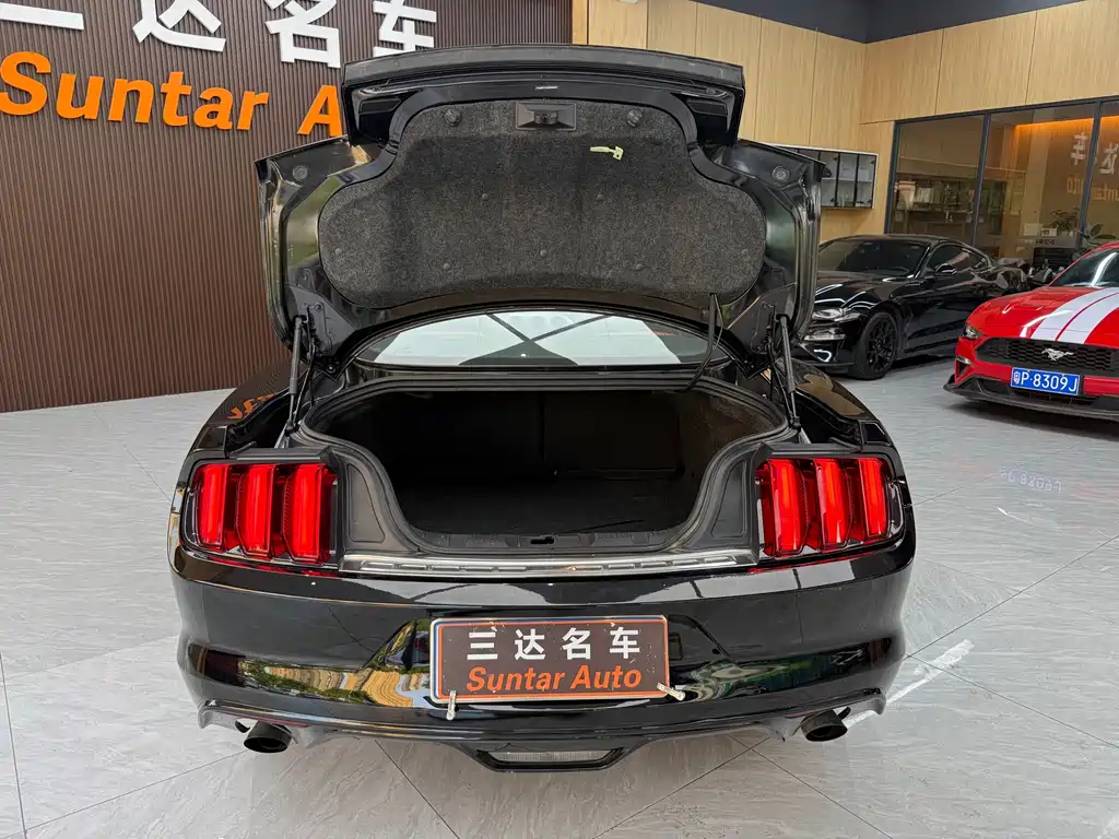Ford Mustang — миниатюра 24