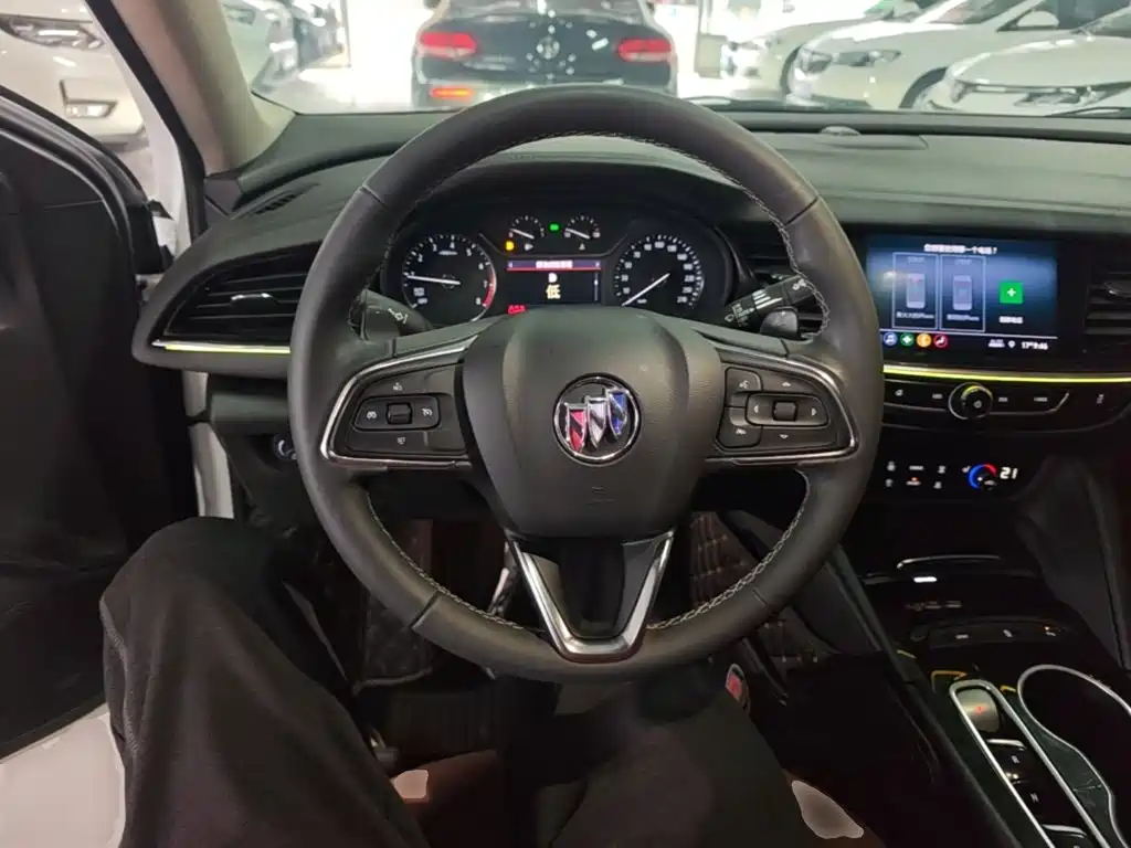 Buick Regal — миниатюра 11