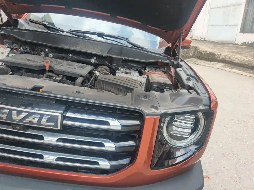 Haval Big Dog — миниатюра 21