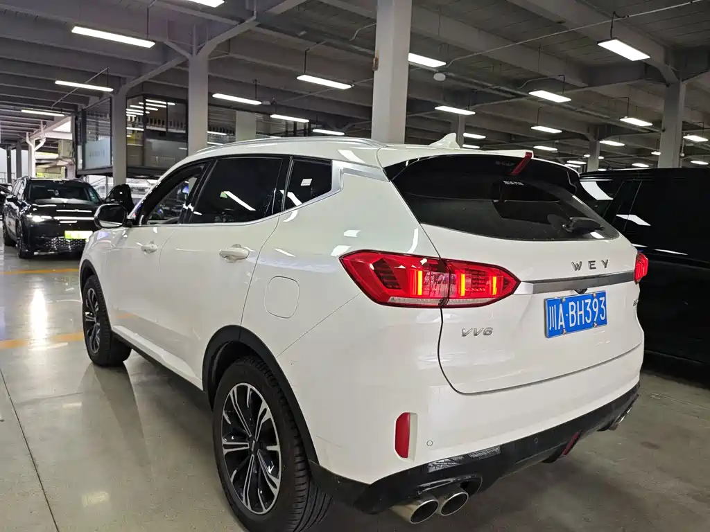 Wey Wey VV6 — миниатюра 10