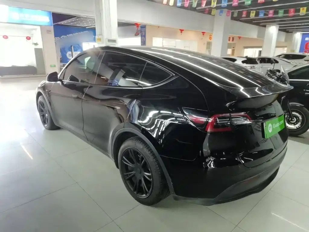 Tesla Model Y — миниатюра 5