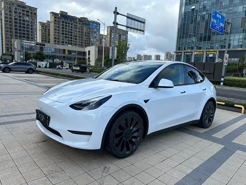Tesla Model Y — миниатюра 3