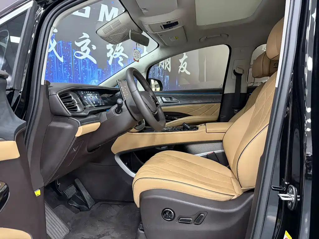Denza Denza D9 — миниатюра 8