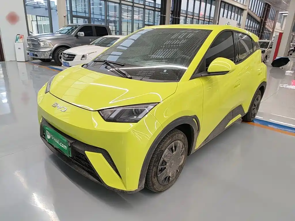 BYD Seagull