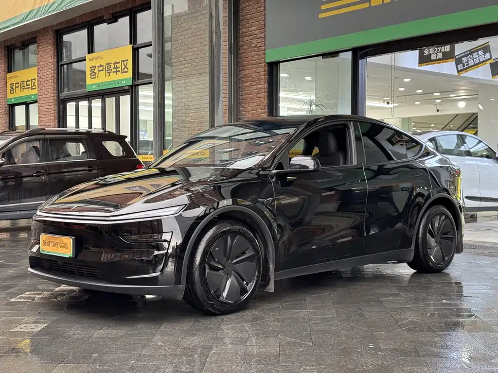 Tesla Model Y — миниатюра 3