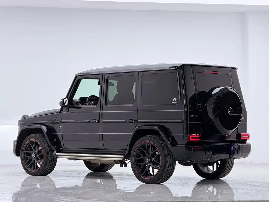 Mercedes-Benz G-Class G 2010 G 500