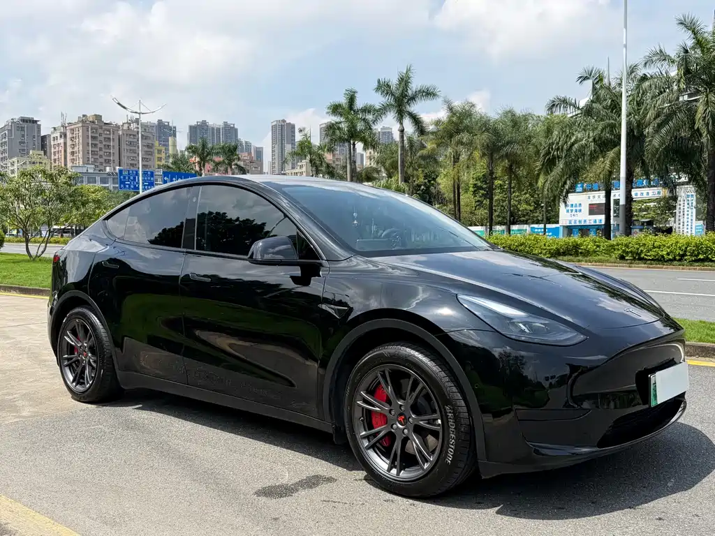 Tesla Model Y — миниатюра 3
