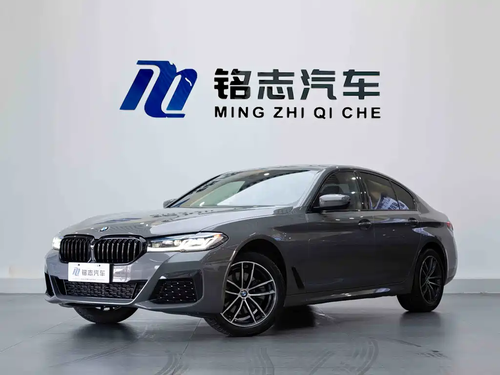 BMW 5 Series (Import) — миниатюра 2