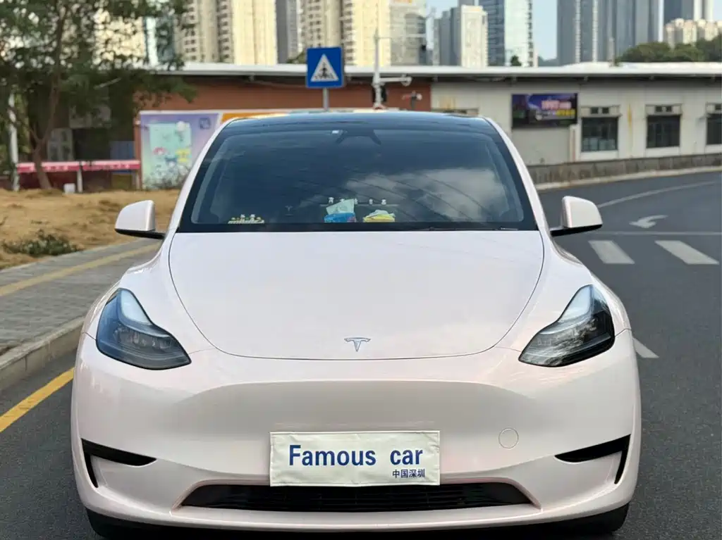 TESLA MODEL Y