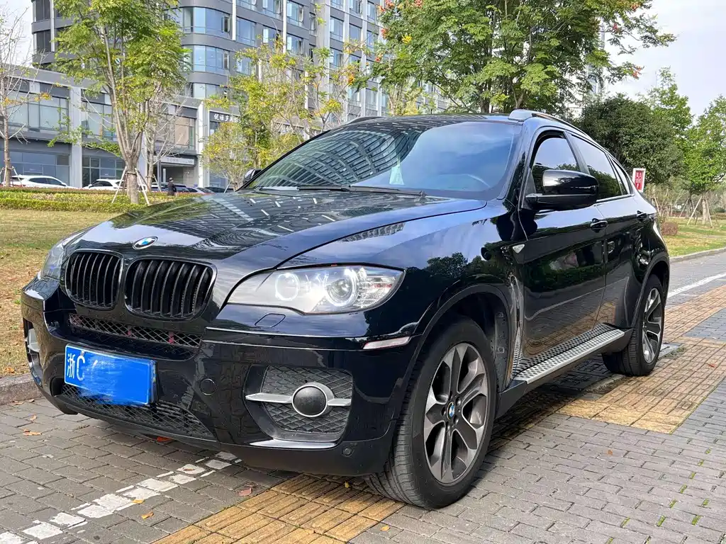 BMW X6 2010
