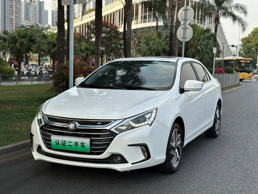 BYD QINXIN ENERGY