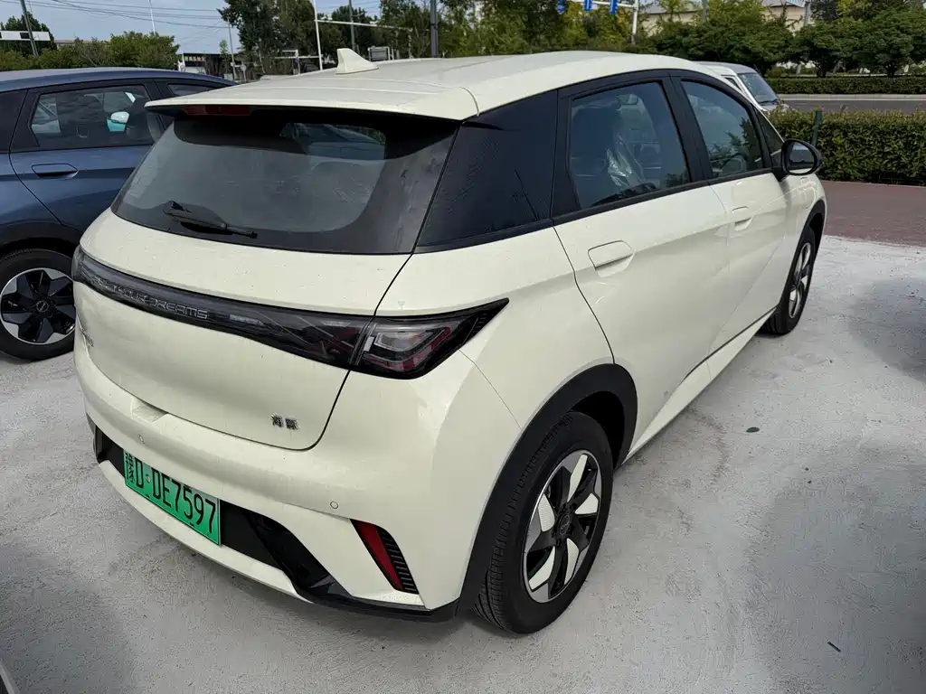 BYD Dolphin — миниатюра 10