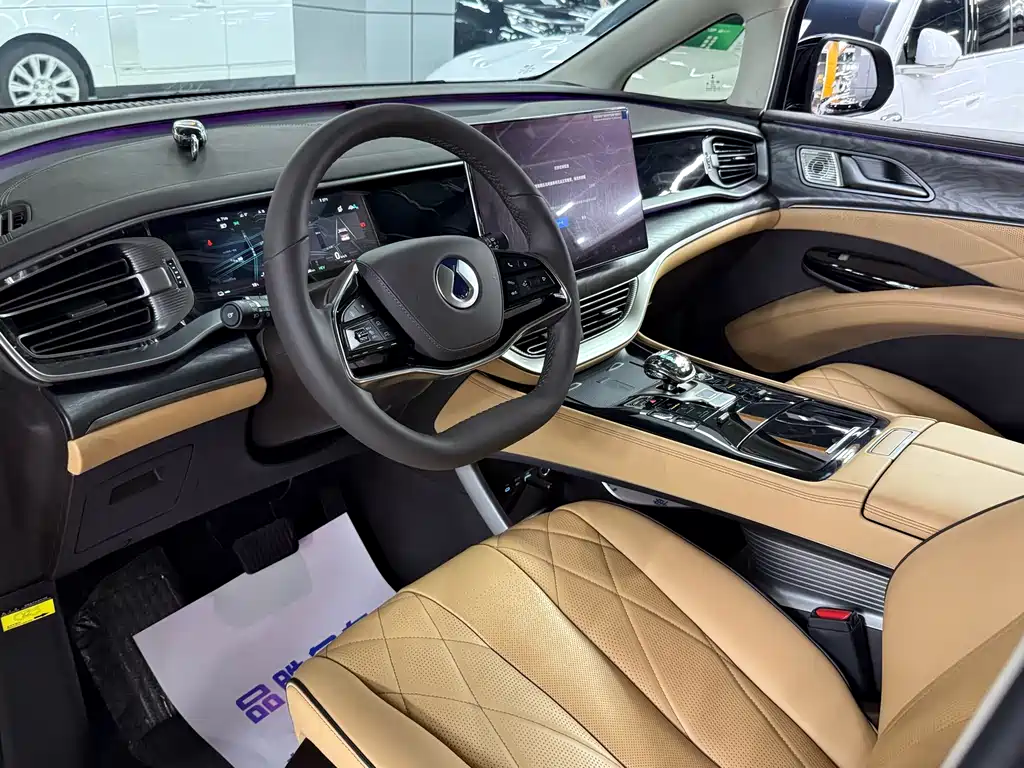 Denza D9 2024 DM-i 980 Luxury