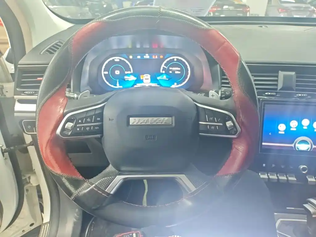Haval H4 — миниатюра 11