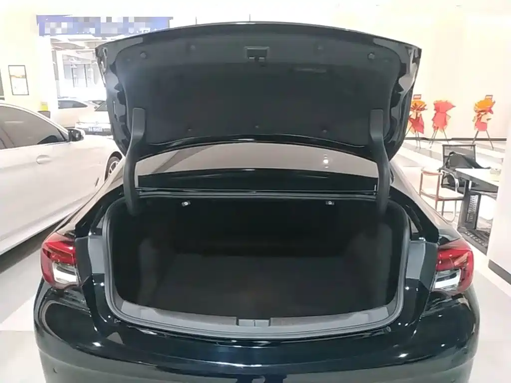 Buick Regal — миниатюра 19