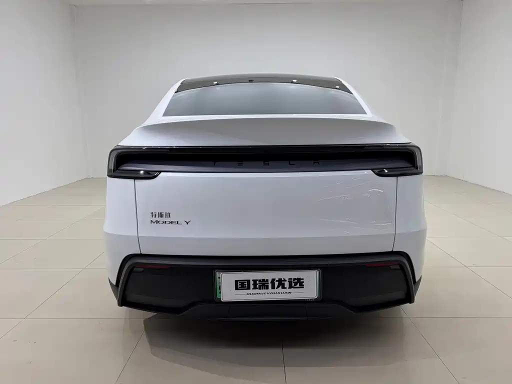 Tesla Model Y — миниатюра 5