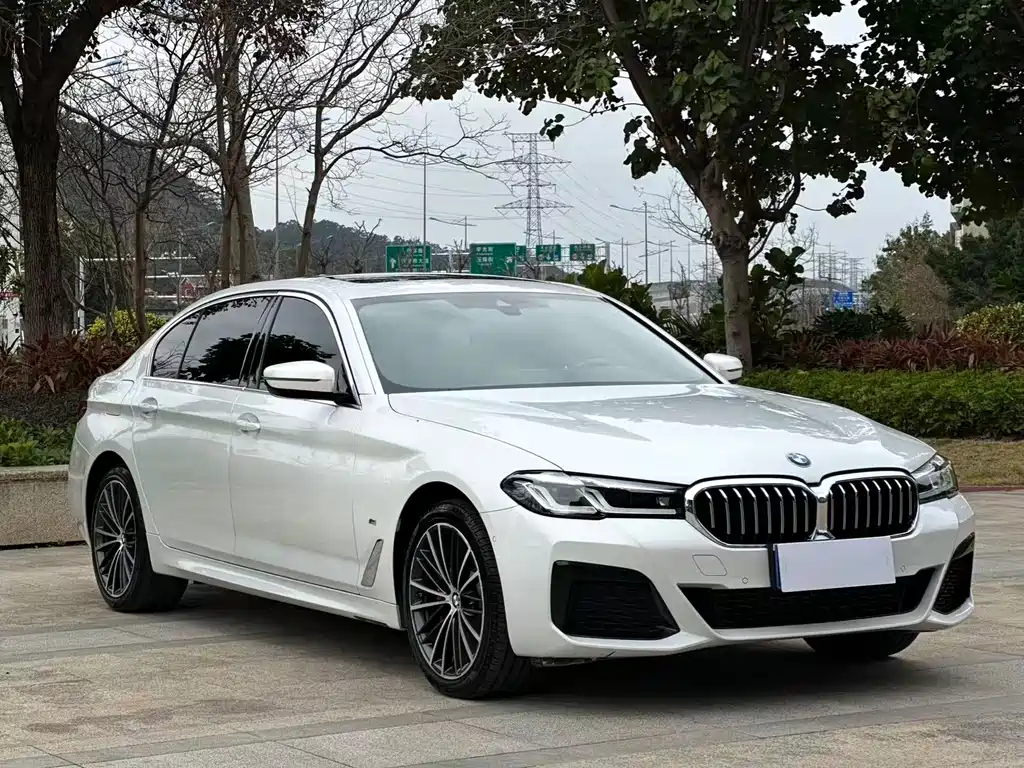 BMW 5 SERIES