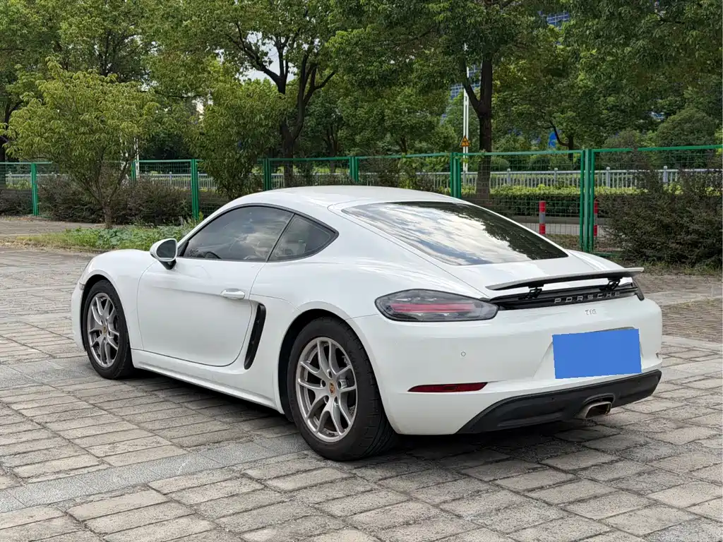 Porsche 718 — миниатюра 14