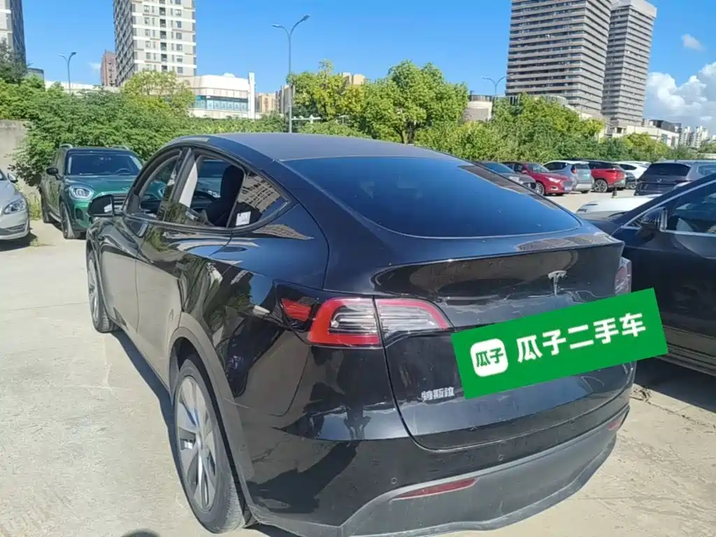 Tesla Model Y — миниатюра 5
