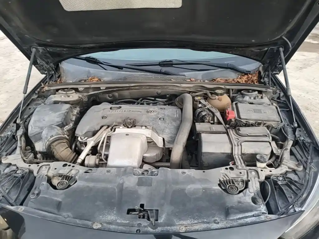 Buick Regal — миниатюра 20