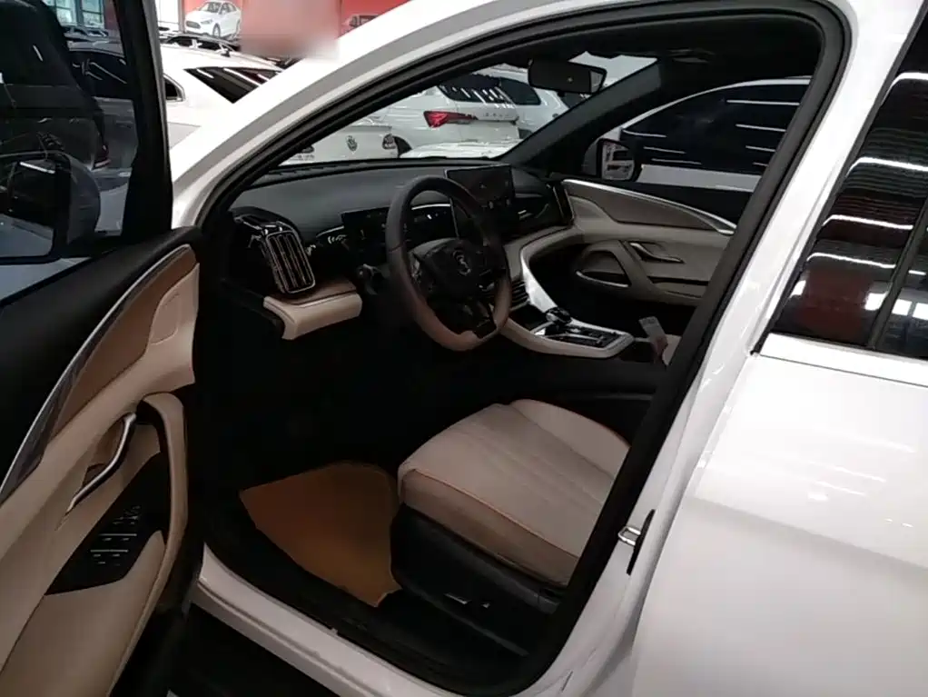 BYD Pro New Energy — миниатюра 15