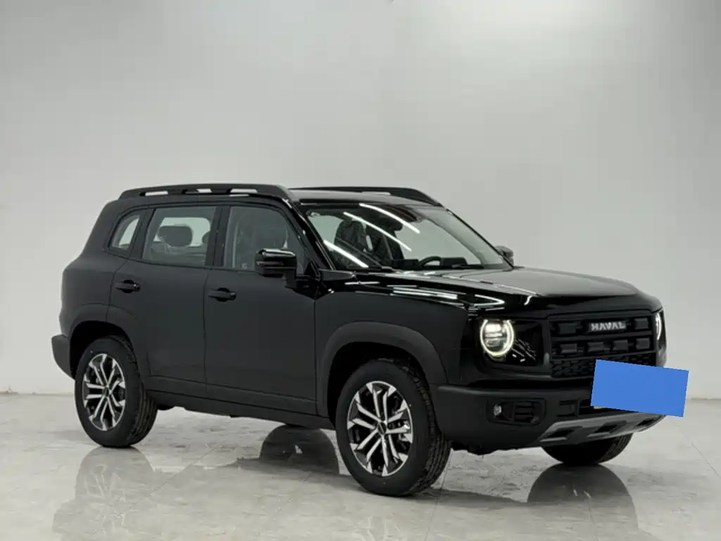 HAVAL BIG DOG