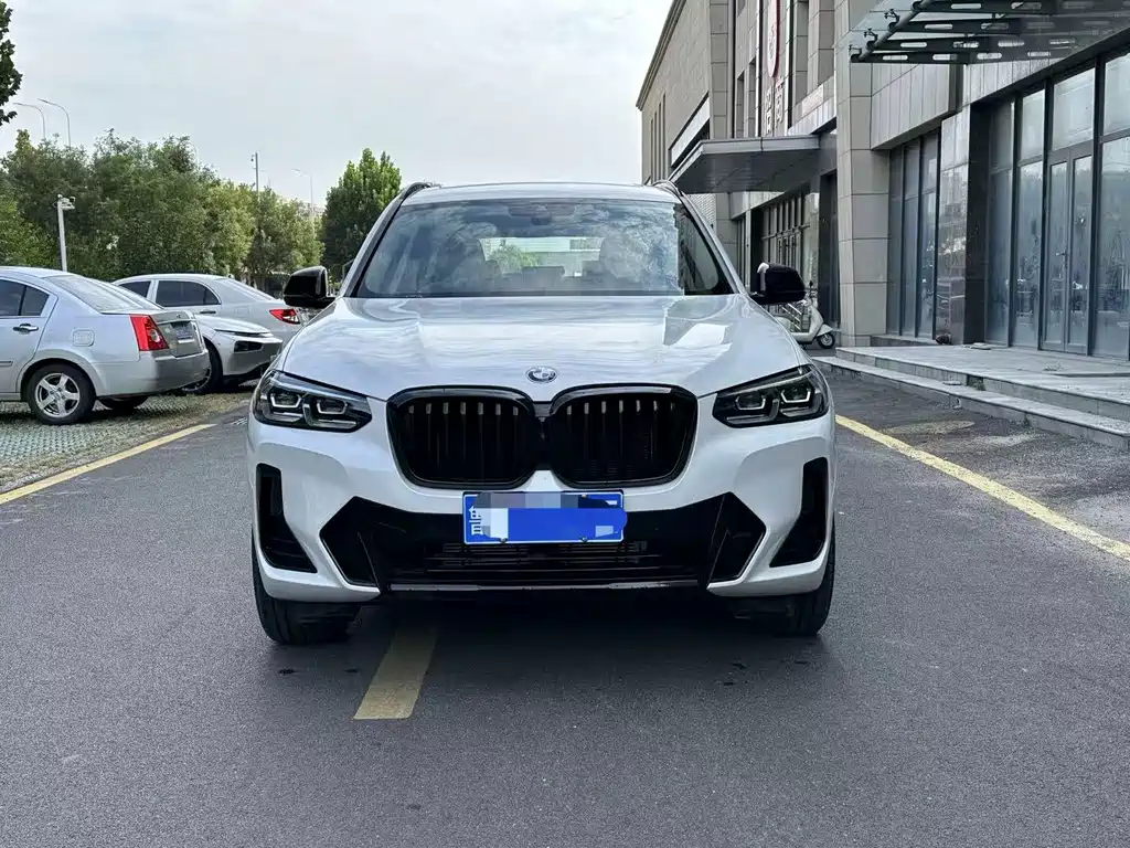 BMW X3 — миниатюра 2