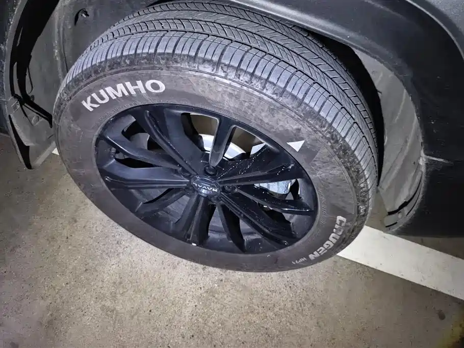 HAVAL RAPTORS NEW ENERGY